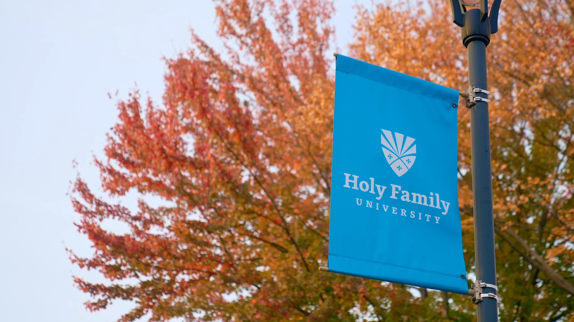 A Holy Family University banner on a campus lamppost